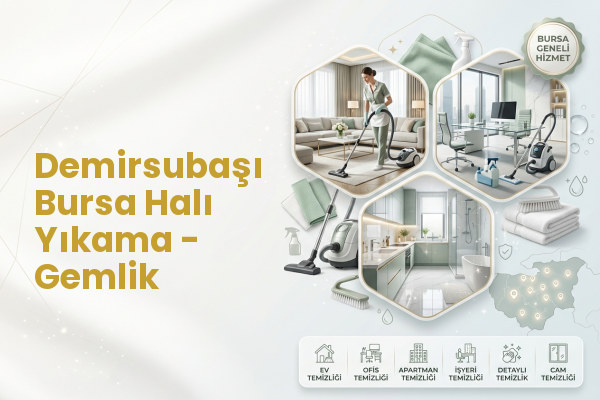 Demirsubaşı Bursa Halı Yıkama - Gemlik