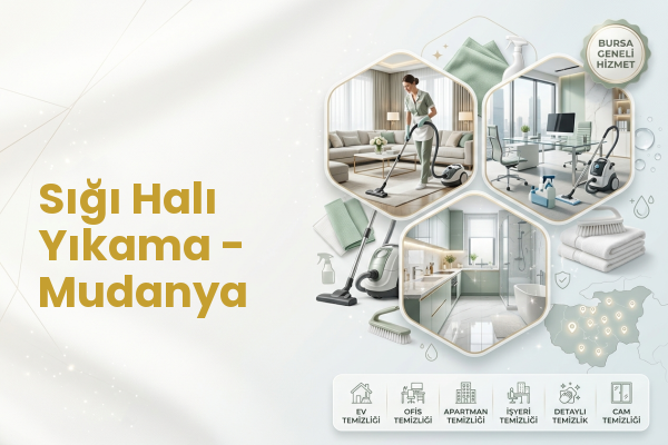 Sığı Halı Yıkama - Mudanya